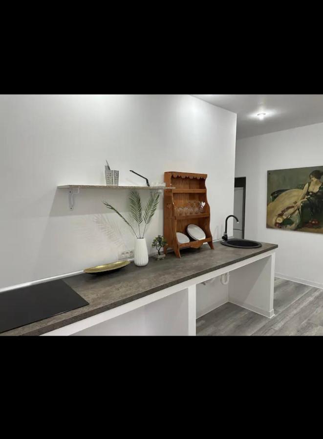Piata Libertatii Apartament 1 Room Timisoara Bagian luar foto