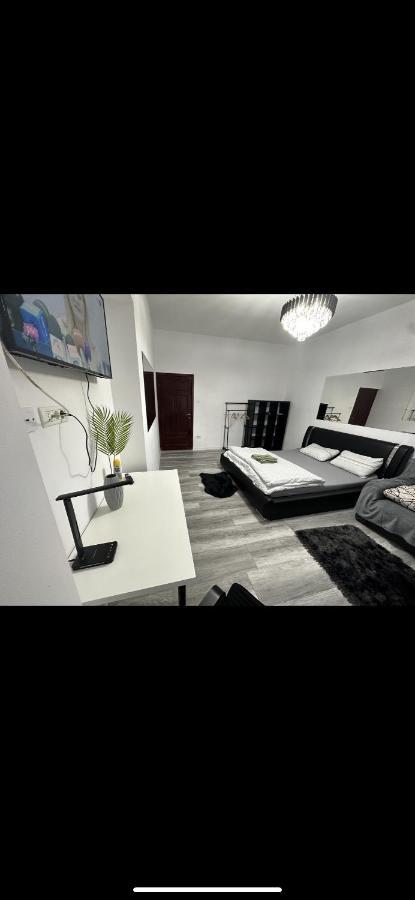 Piata Libertatii Apartament 1 Room Timisoara Bagian luar foto