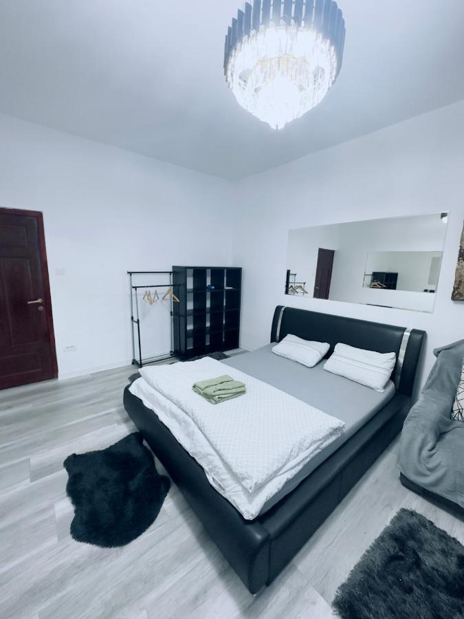 Piata Libertatii Apartament 1 Room Timisoara Bagian luar foto